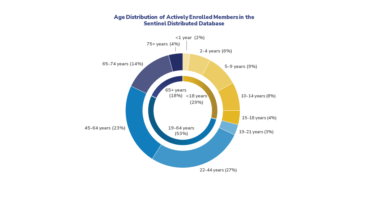 Age Distribution of Actively Enrolled Members in the Sentinel Distributed Database